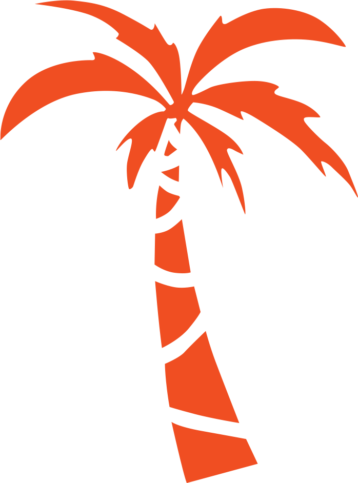 Coqueiro, símbolo do Desencanto Tropical